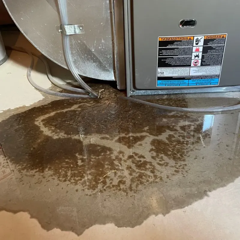 Pipe Burst and Leak Restoration in Lawton, OK